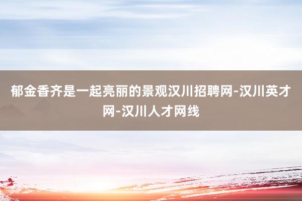郁金香齐是一起亮丽的景观汉川招聘网-汉川英才网-汉川人才网线