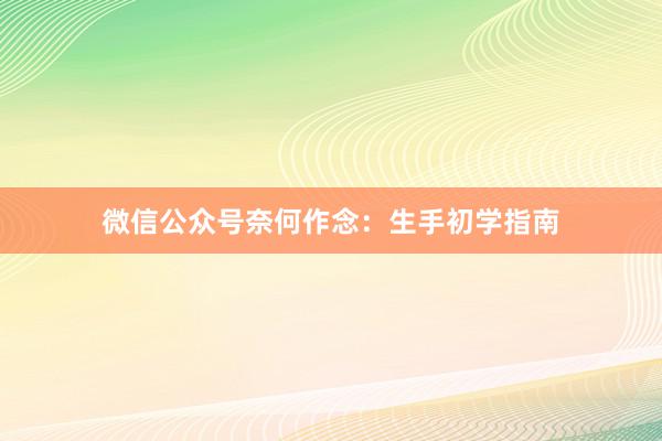 微信公众号奈何作念：生手初学指南