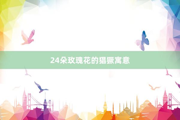 24朵玫瑰花的猖獗寓意