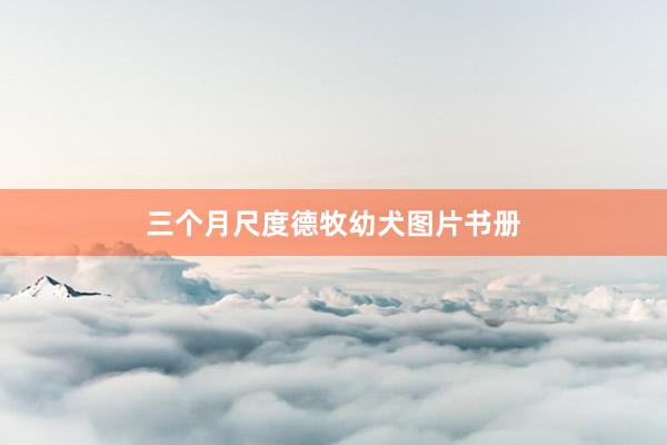 三个月尺度德牧幼犬图片书册