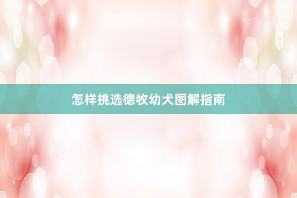 怎样挑选德牧幼犬图解指南