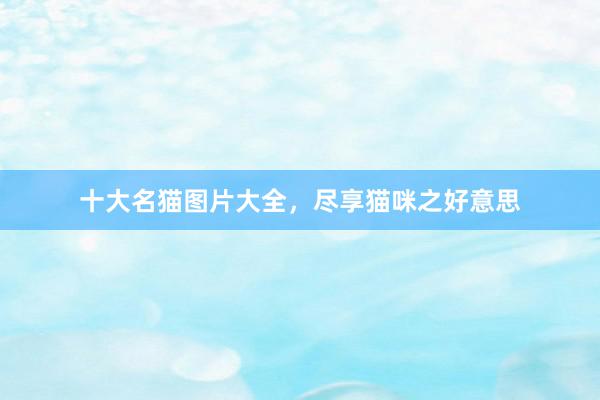 十大名猫图片大全，尽享猫咪之好意思