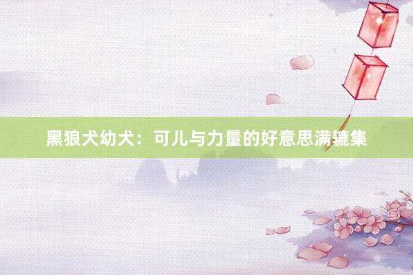 黑狼犬幼犬：可儿与力量的好意思满辘集